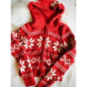 Hollister holiday hoodie sweater